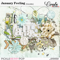 January Feeling-Goodies