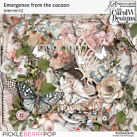 Emergence from the cocoon-Elements