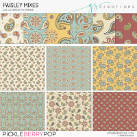 Paisley Mixes Layered Patterns (CU)