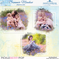 Summer Meadow Frame Art by Indigo Designs by Anna