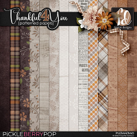 Thankful4You: Patterned Papers