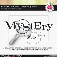 December 2021 Mystery Box