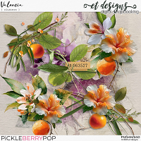 Valencia Clusters by et designs