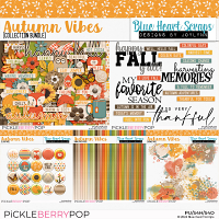 Autumn Vibes Collection Bundle