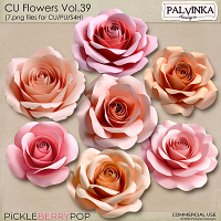 CU Flowers 39