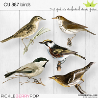 CU 887 BIRDS 