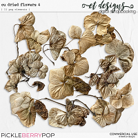 CU Dried Flowers 4 by et designs