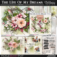 The Life Of My Dreams Bundle Plus Free Gift 