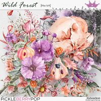 WILD FOREST THE KIT