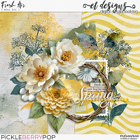 Fresh Air Mini Kit by et designs