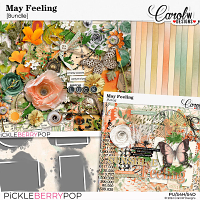 May Feeling-Bundle