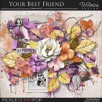 Your Best Friend ~ elements pack by TirAmisu design