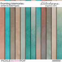 Framing Memories Ombre and Solid Papers