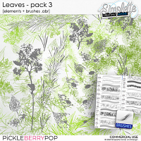 Leaves (CU elements + brushes .abr) pack 3