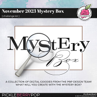 November 2023 Mystery Box