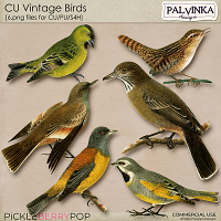 CU Vintage Birds 