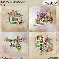 Moments In Bloom QP