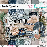 Arctic Tundra Mini Kit by JB Studio