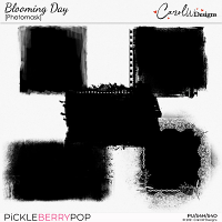 Blooming Day-Photomasks