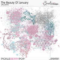 The Beauty Of January-Accents