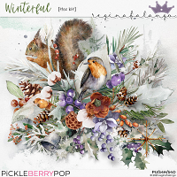 WINTERFUL THE KIT