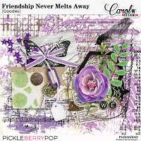 Friendship Never Melts Away-goodies