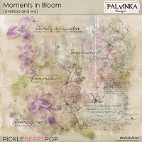 Moments In Bloom Overlays and WA