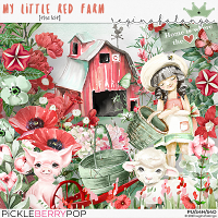 MY LITTLE RED FARM the kit