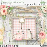 UNE SOURIS VERTE borders & boxes