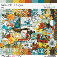 Snapshots Of August: Kit