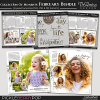 Collection Of Moments Templates ~ February Bundle