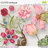 CU 970 ANTIQUE