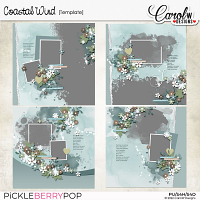 Coastal Wind-Templates