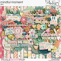 Mindful Moment Kit