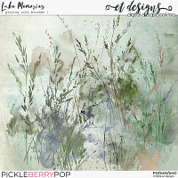 Lake Memories Playing with Brushes by et designs