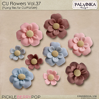 CU Flowers 37