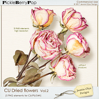 CU Dried flowers Vol.2 (Jasmin-Olya Designs)