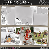 Life Stories  Templates vol.1