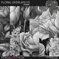 Floral Overlays V3 [CU] by Cindy Ritter 