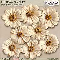 CU Flowers 42