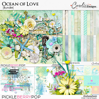 Ocean Of Love-Bundle