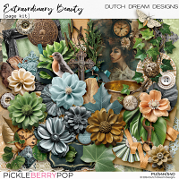 Extraordinary Beauty - Page Kit