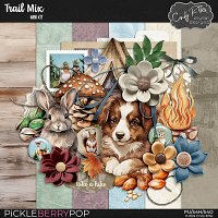 Trail Mix [Mini Kit] by Cindy Ritter