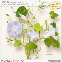 CU Flowers Vol.80 (Jasmin-Olya Designs)