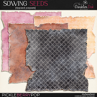 Sowing Seeds: Ripped Papers