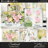 Sunkissed ~ Bundle plus FREE GIFT by Tiramisu design  