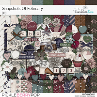 Snapshots Of February: Kit