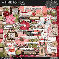 A Time To Heal [Kit] by Cindy Ritter