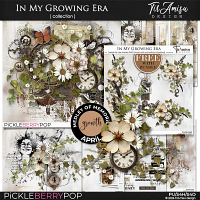 In My Growing Era: Bundle by TirAmisu design