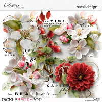 Celestine Overlays